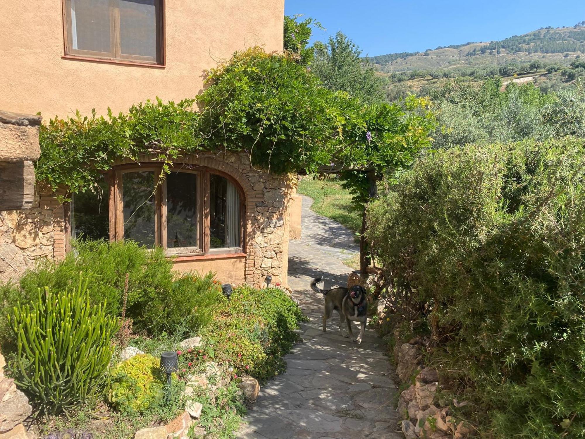 Rustic Apartment In Lanjarón Buitenkant foto